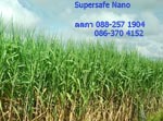 Go to www.supersafenano.com